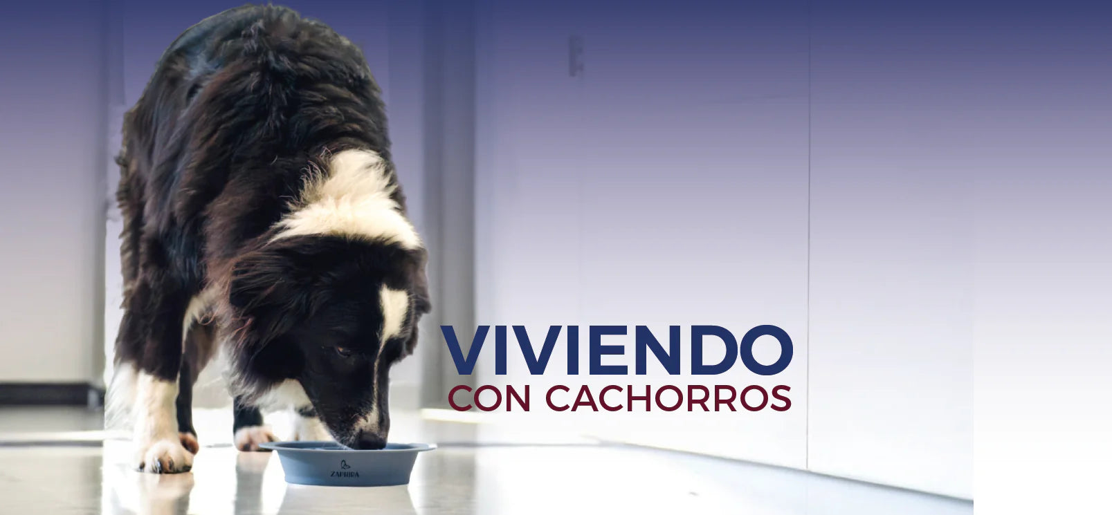 5 beneficios de la alimentacion lenta para tu cachorro y como lograrla